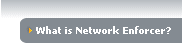 What is Network Enforcer?